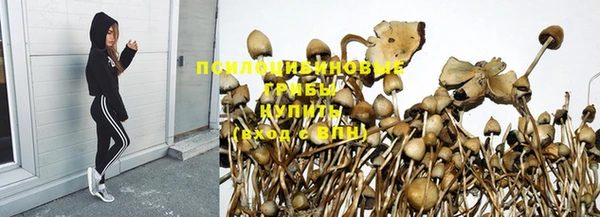 хмурый Балабаново