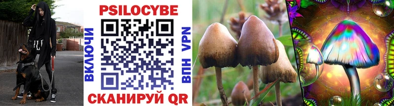 Псилоцибиновые грибы GOLDEN TEACHER  ОМГ ОМГ ТОР  Давлеканово  закладки 